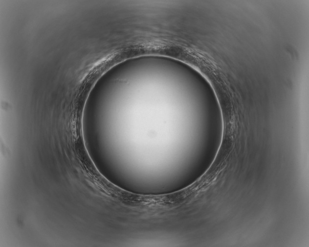 X0000090921205200708061536