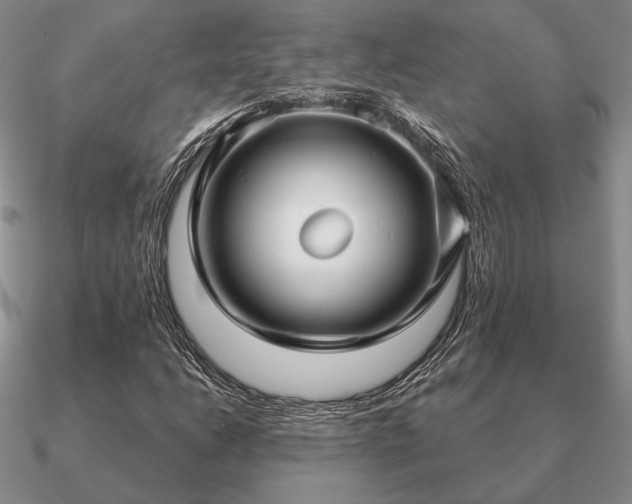 X0000090921206200708061536