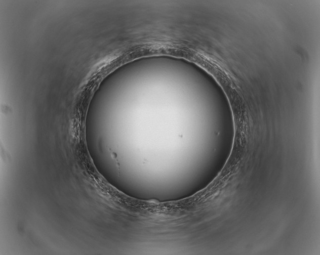 X0000090921207200708061536