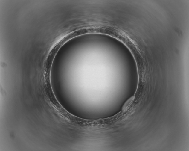 X0000090921208200708061536