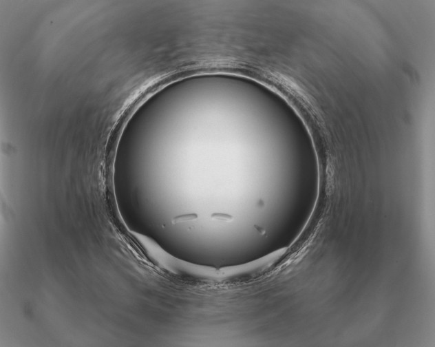 X0000090921212200708061536
