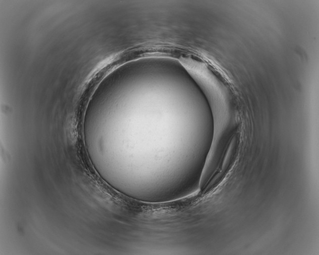 X0000090921213200708061536