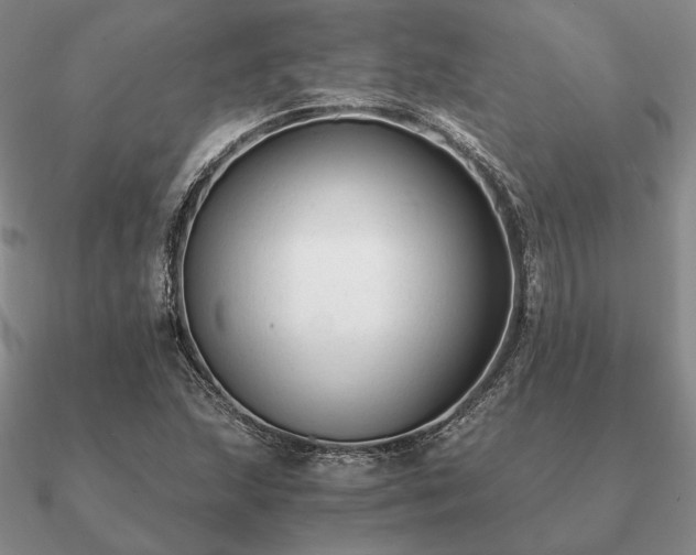 X0000090921215200708061536