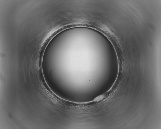 X0000090921216200708061536