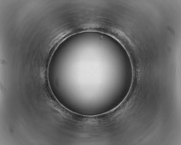 X0000090921217200708061536