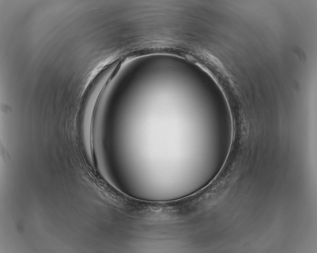 X0000090921218200708061536