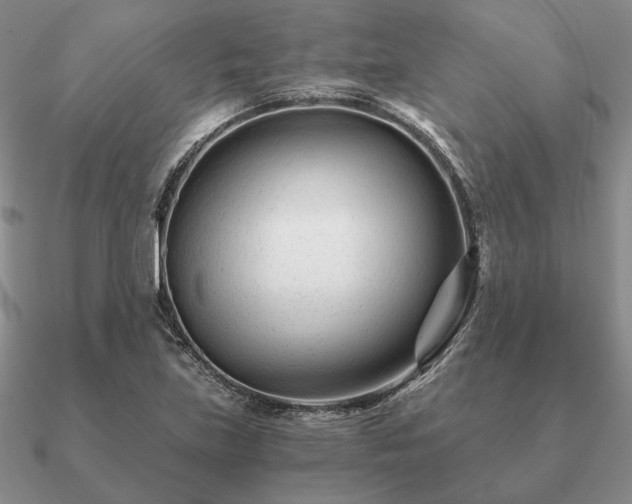 X0000090921219200708061536