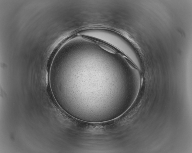 X0000090921221200708061536