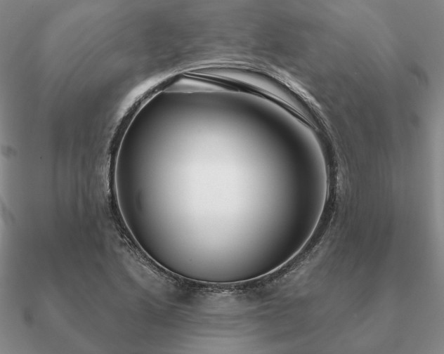 X0000090921222200708061536