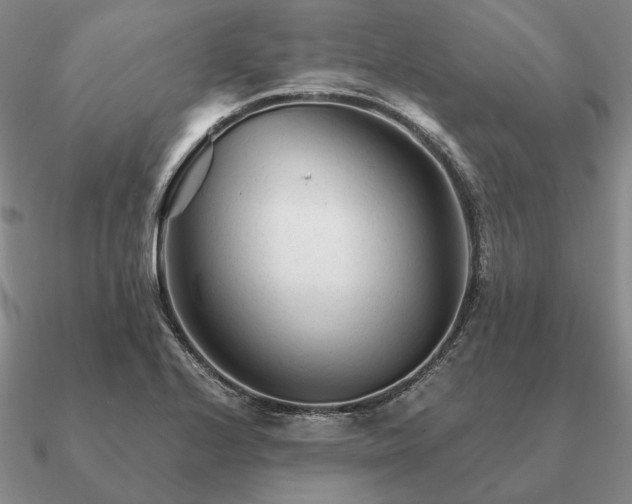 X0000090921224200708061536