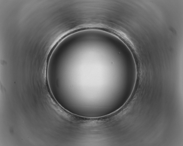 X0000090921228200708061536