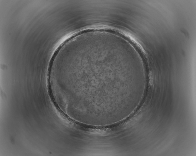X0000090921229200708061536