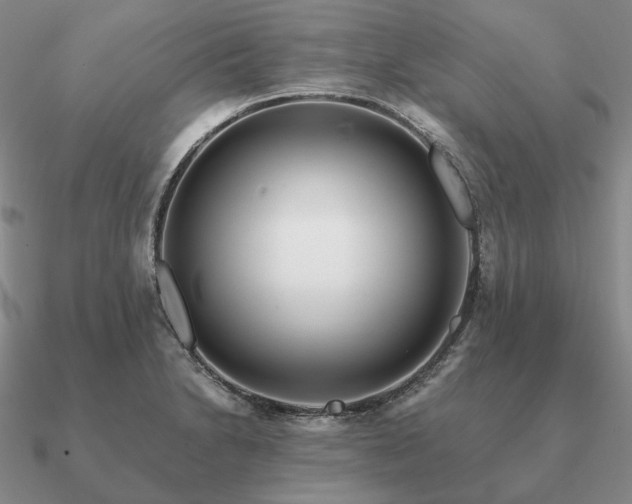 X0000090921230200708061536