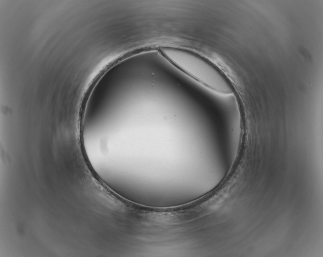 X0000090921232200708061536