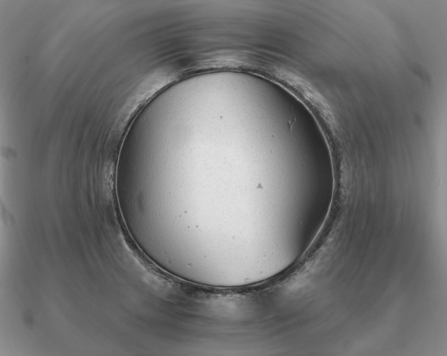 X0000090921233200708061536