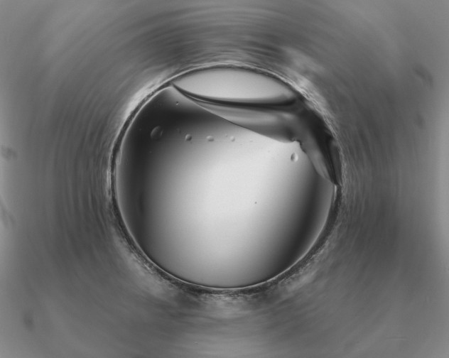 X0000090921234200708061536