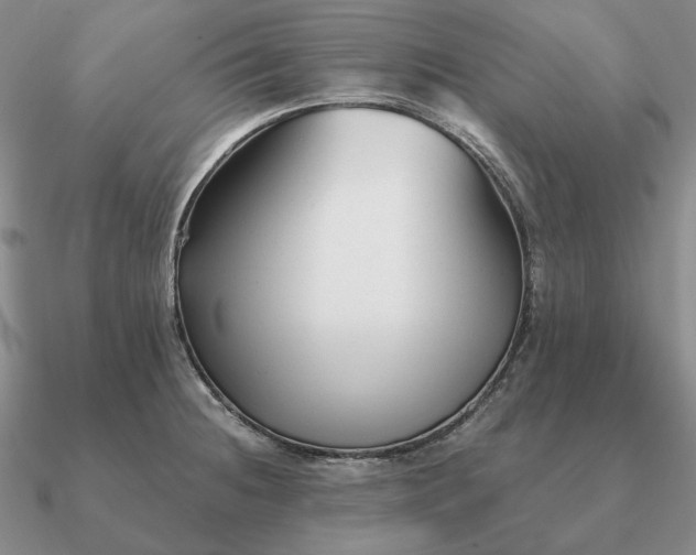 X0000090921236200708061536
