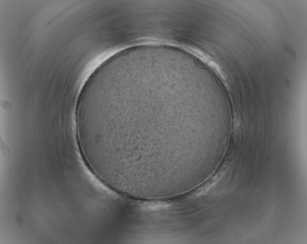 X0000090921239200708061536