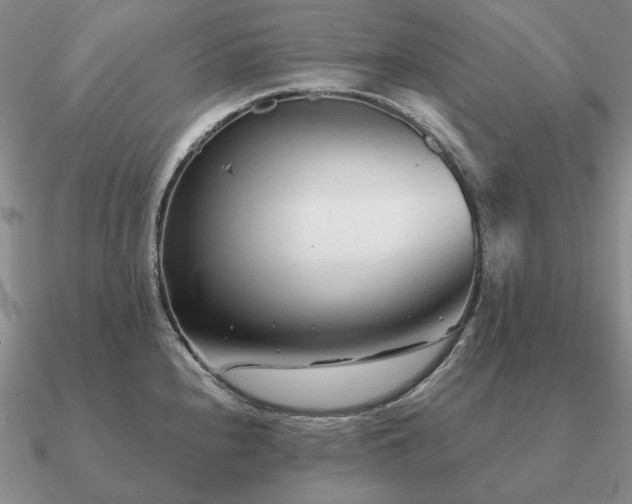 X0000090921240200708061536