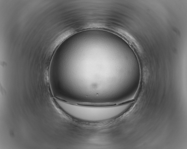 X0000090921241200708061536