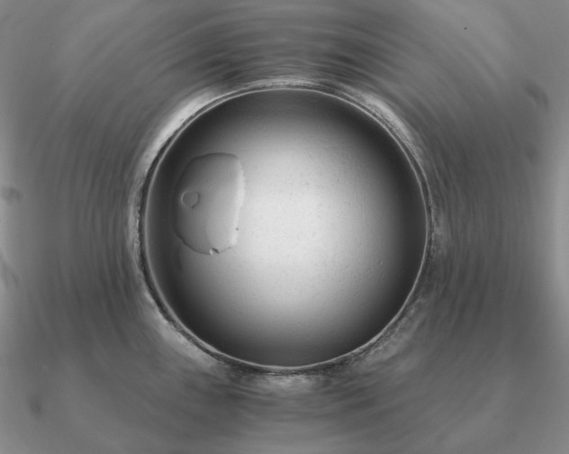 X0000090921243200708061536