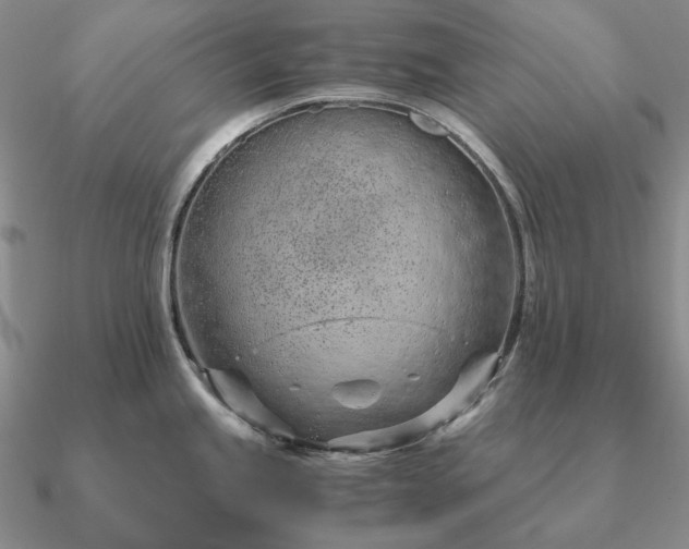X0000090921245200708061536