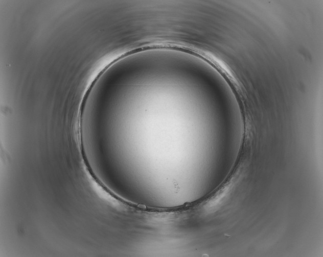 X0000090921247200708061536
