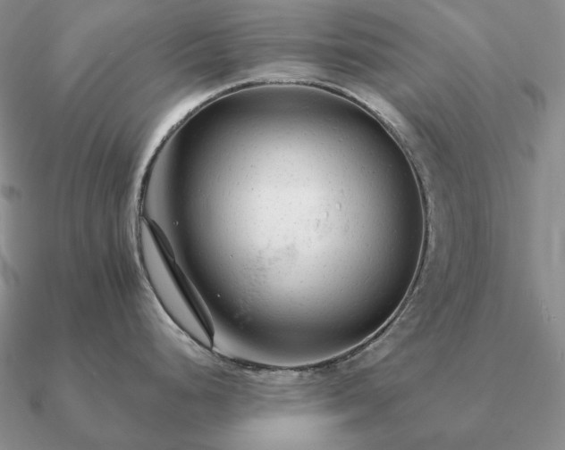 X0000090921248200708061536