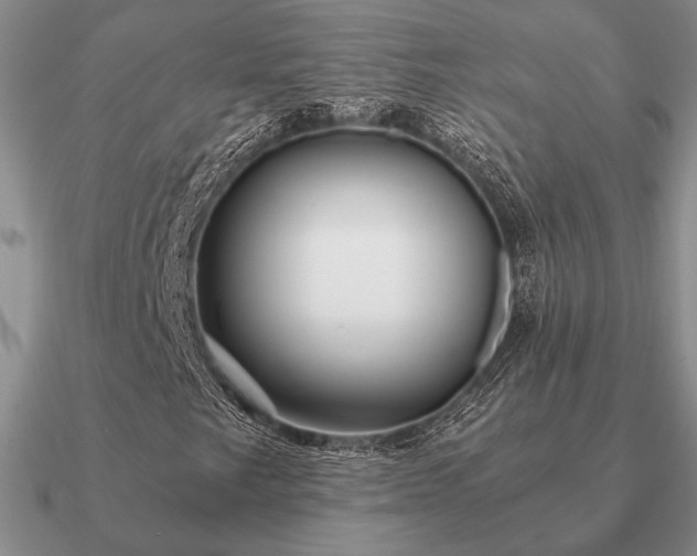 X0000090921249200708061536