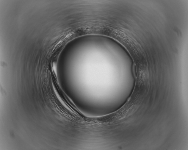 X0000090921250200708061536