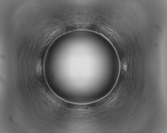X0000090921252200708061535