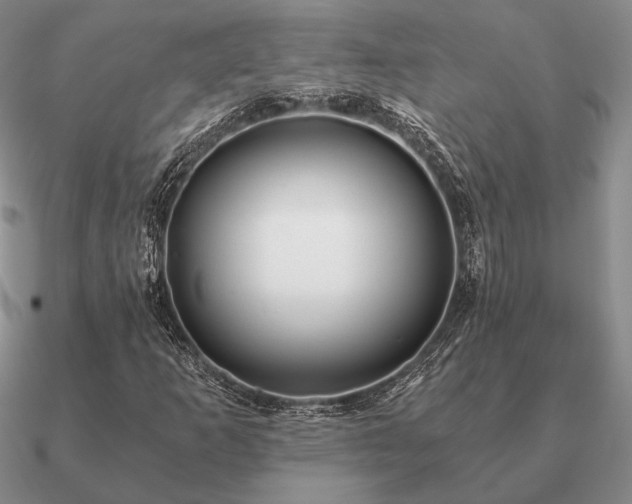 X0000090921253200708061535