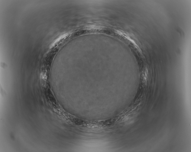 X0000090921254200708061535