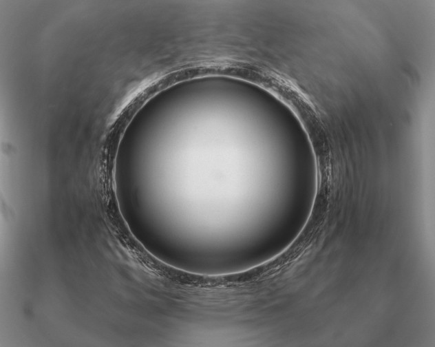 X0000090921256200708061535