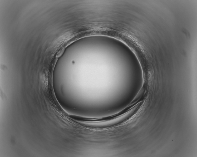X0000090921257200708061535