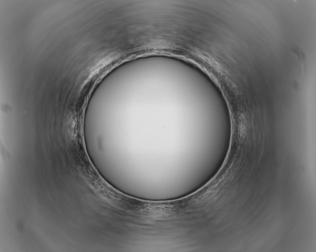 X0000090921258200708061535