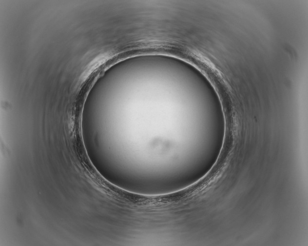 X0000090921259200708061535