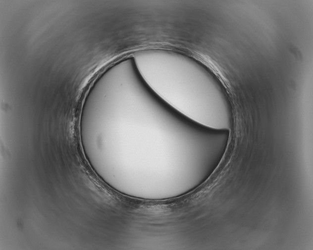 X0000090921260200708061535
