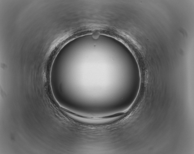 X0000090921261200708061535