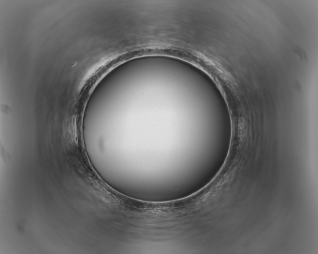 X0000090921262200708061535