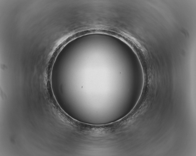 X0000090921264200708061535