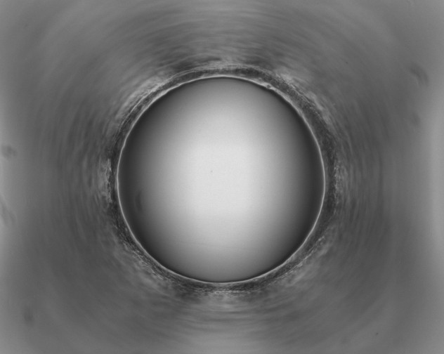 X0000090921265200708061535