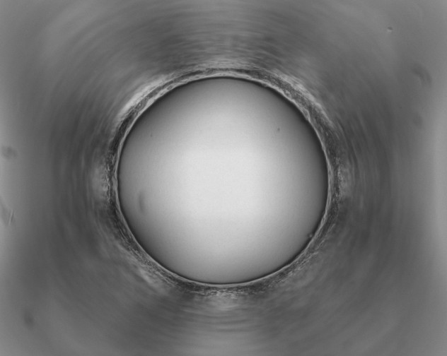 X0000090921266200708061535