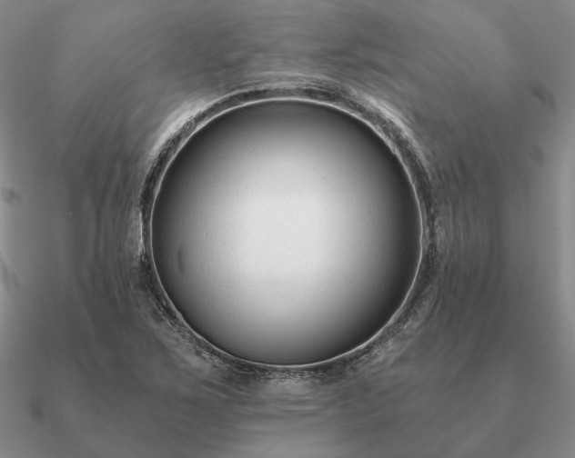 X0000090921267200708061535
