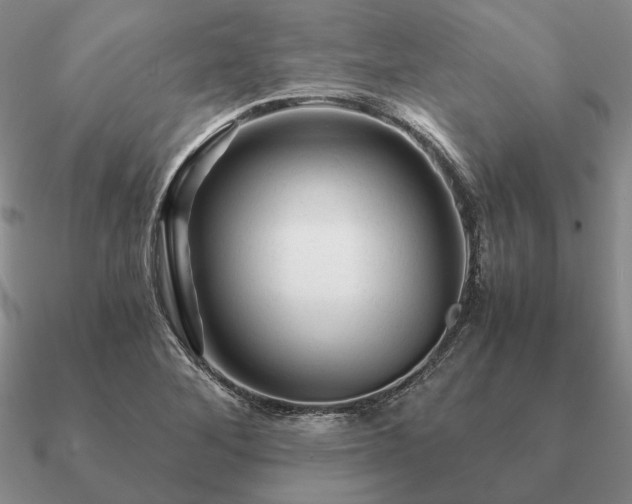 X0000090921268200708061535