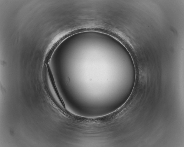 X0000090921270200708061535