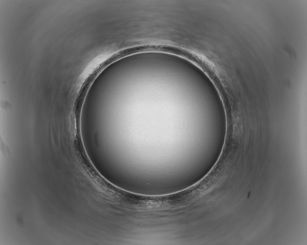 X0000090921271200708061535
