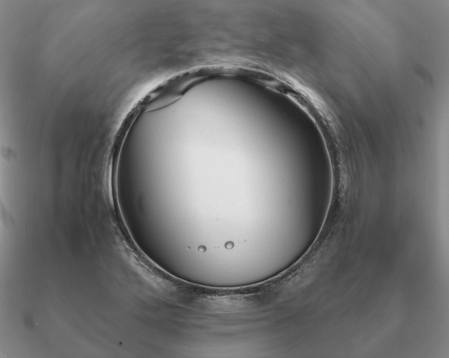 X0000090921272200708061535