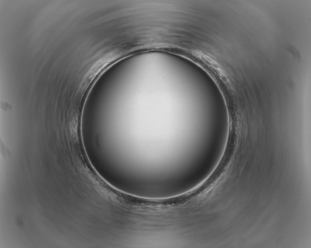 X0000090921273200708061535
