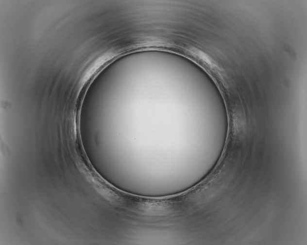 X0000090921274200708061535